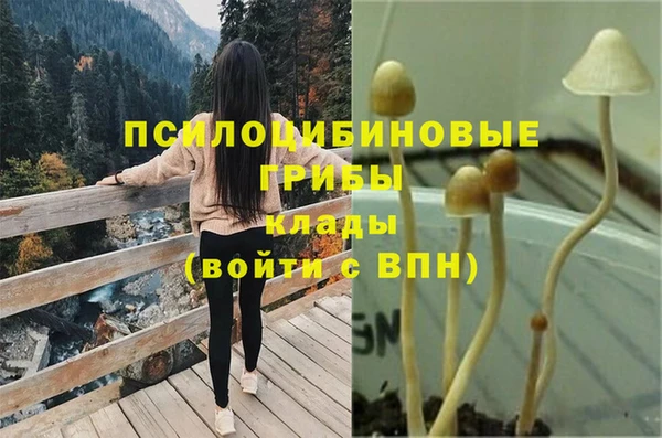 хмурый Краснотурьинск