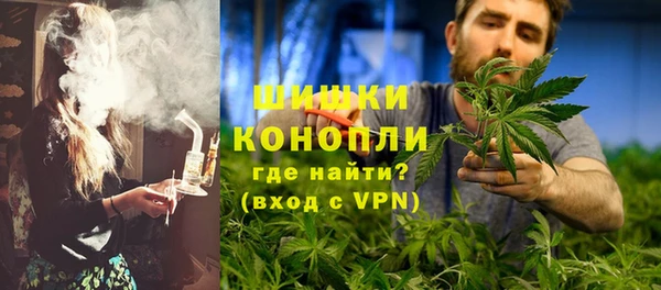 дживик Краснослободск