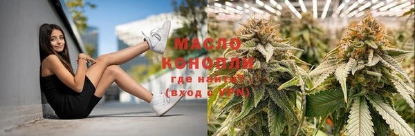 дживик Краснослободск