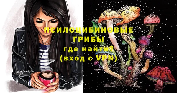 дживик Краснослободск