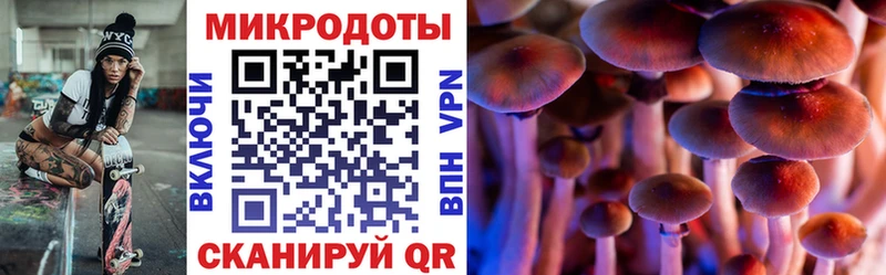 купить наркотики цена  Дыгулыбгей  KRAKEN ссылки  Псилоцибиновые грибы прущие грибы 